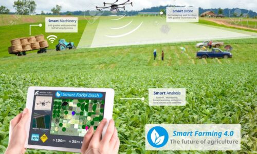 Smart farming 4.0 , Hi-Tech Agriculture conceptual, Drone AI automatic