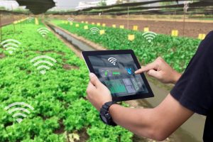 Smart FARM