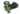 ARENO TES 3 FL-1